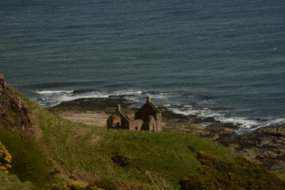 DSC_7265 (Large).JPG